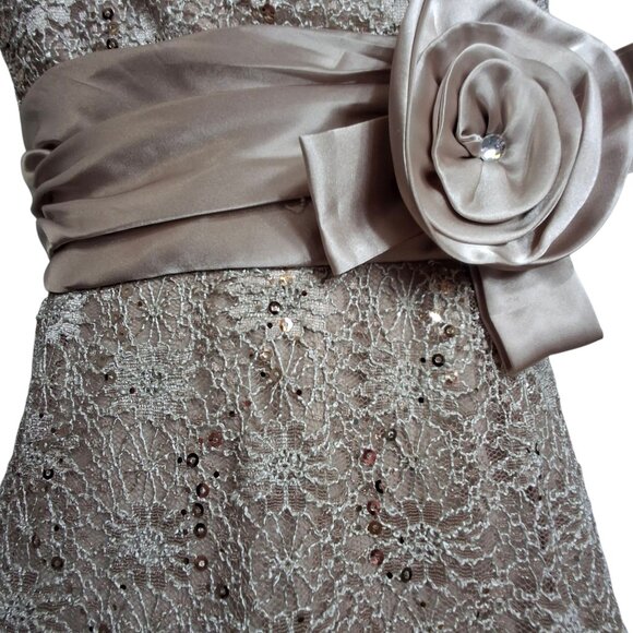 R&M Richards PLUS 14W EMPIRE Stretch Lace Satin Cocktail Party Dress Champagne - Picture 5 of 16